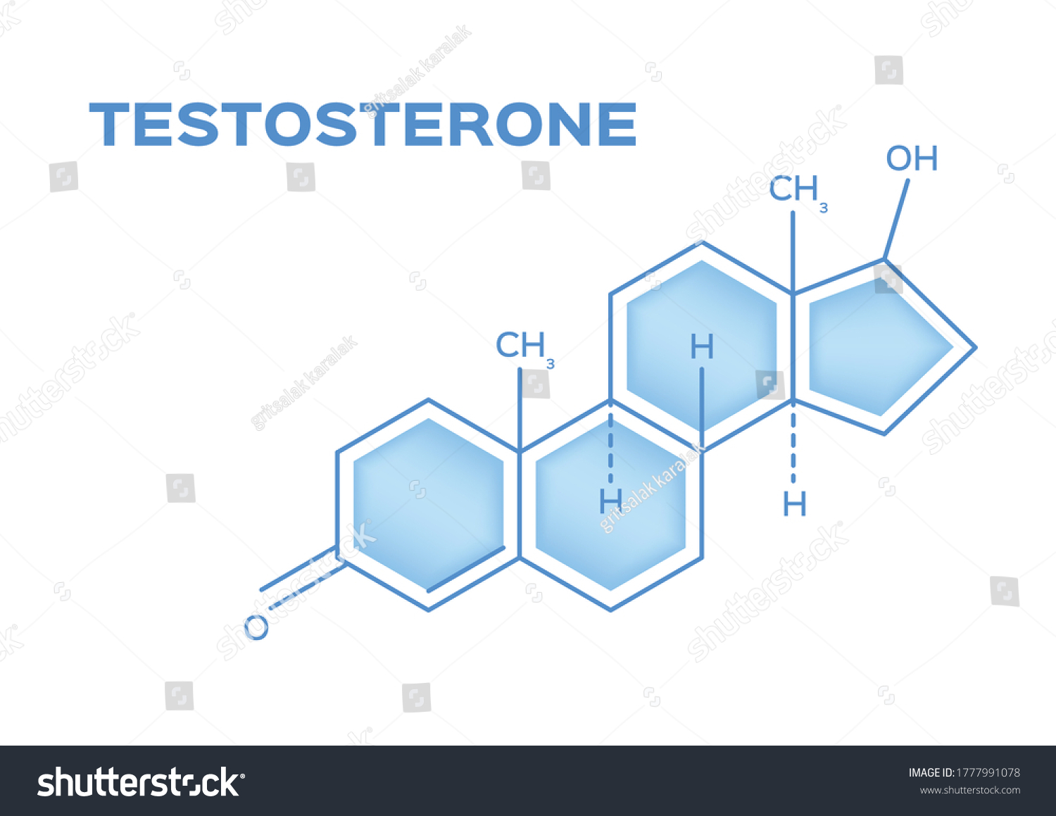 Sex Hormones Testosterone Vector On White Stock Vector Royalty Free 1777991078