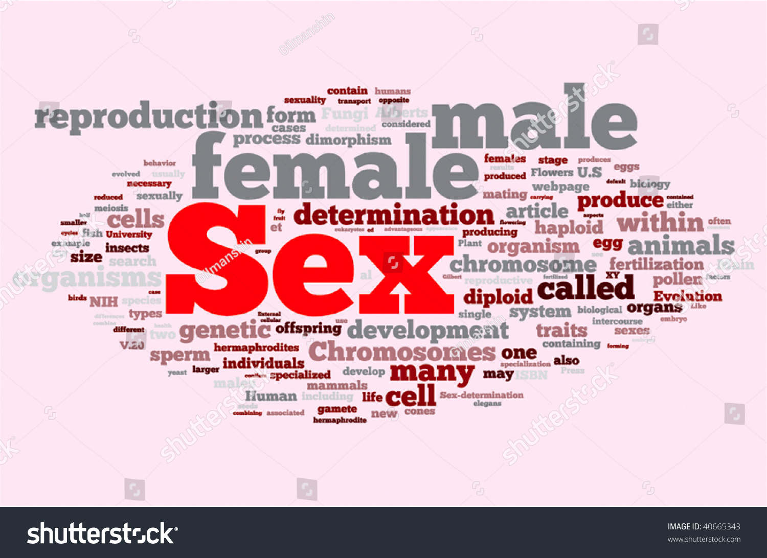 Sex Word Cloud Illustration Graphic Tag Stock Vector 40665343 Shutterstock 1776