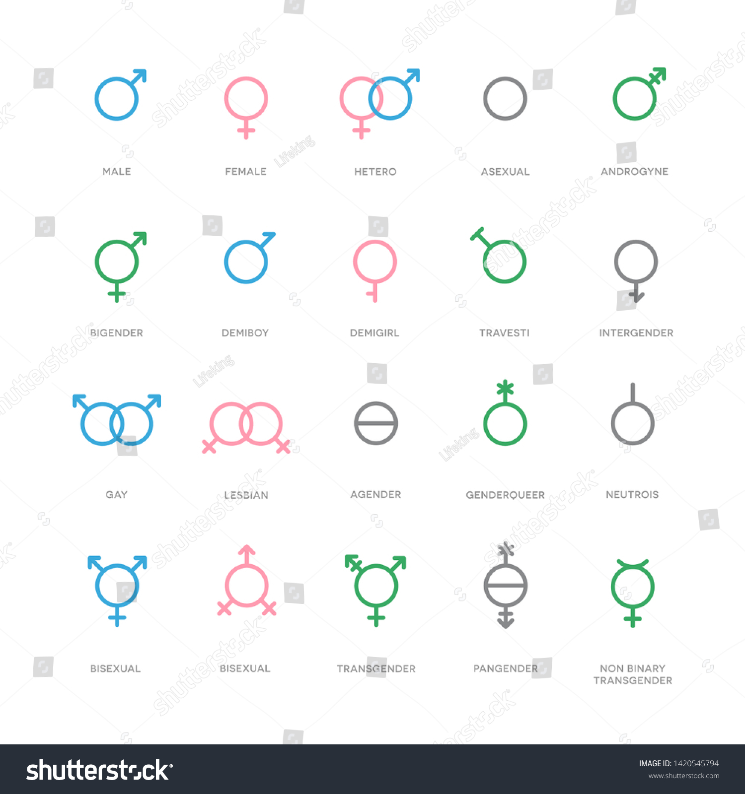 Sexual Orientation Gender Symbols Male Female Stock Vector Royalty Free 1420545794 