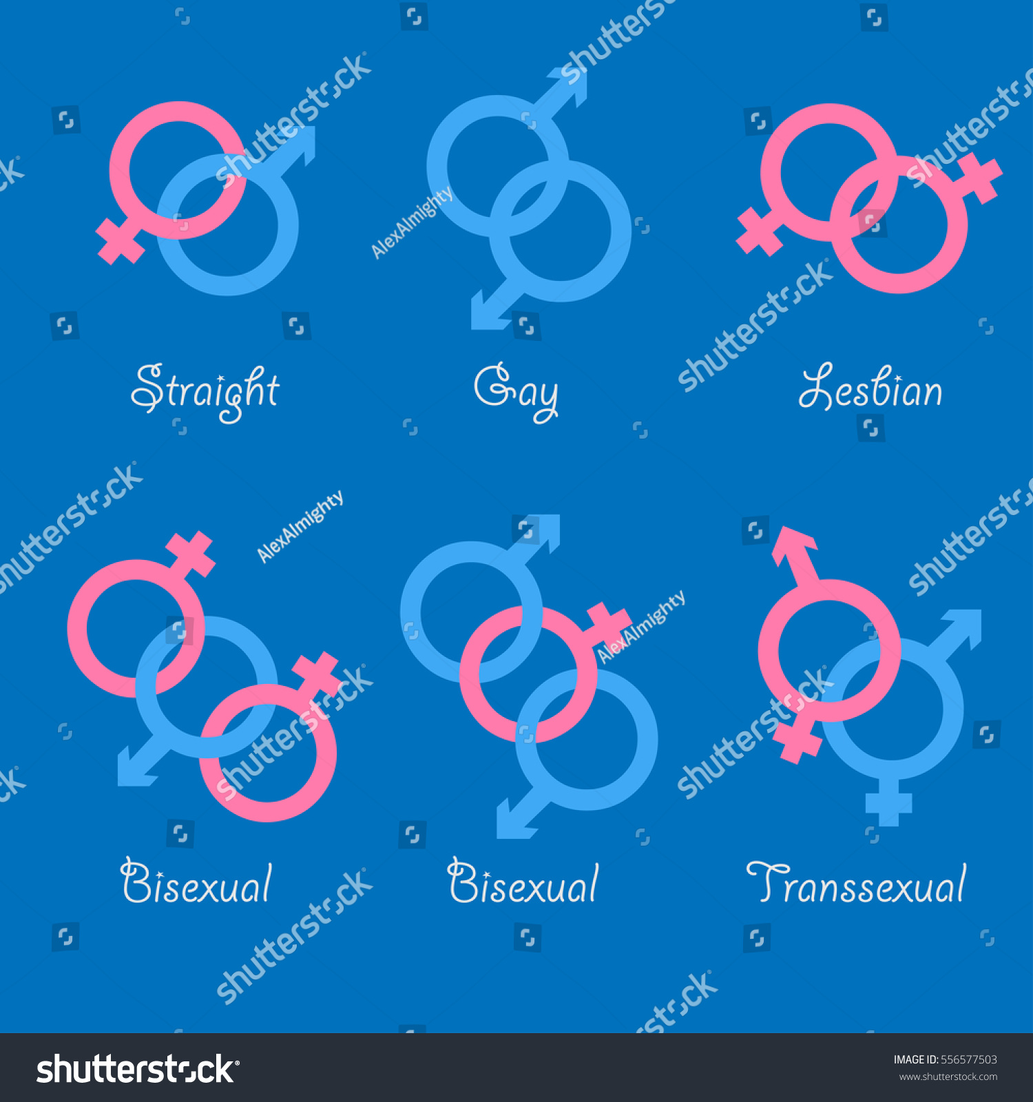 Sexual Orientation Vector Icons Sexual Gender Stock Vector Royalty Free 556577503 