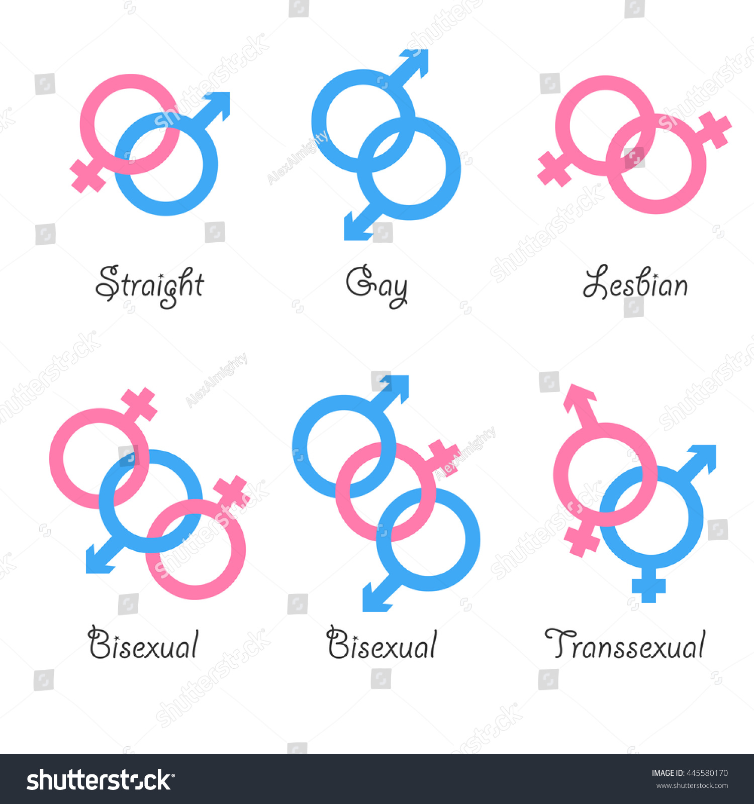 Sexual Orientation Vector Icons Sexual Gender Stock Vector 445580170