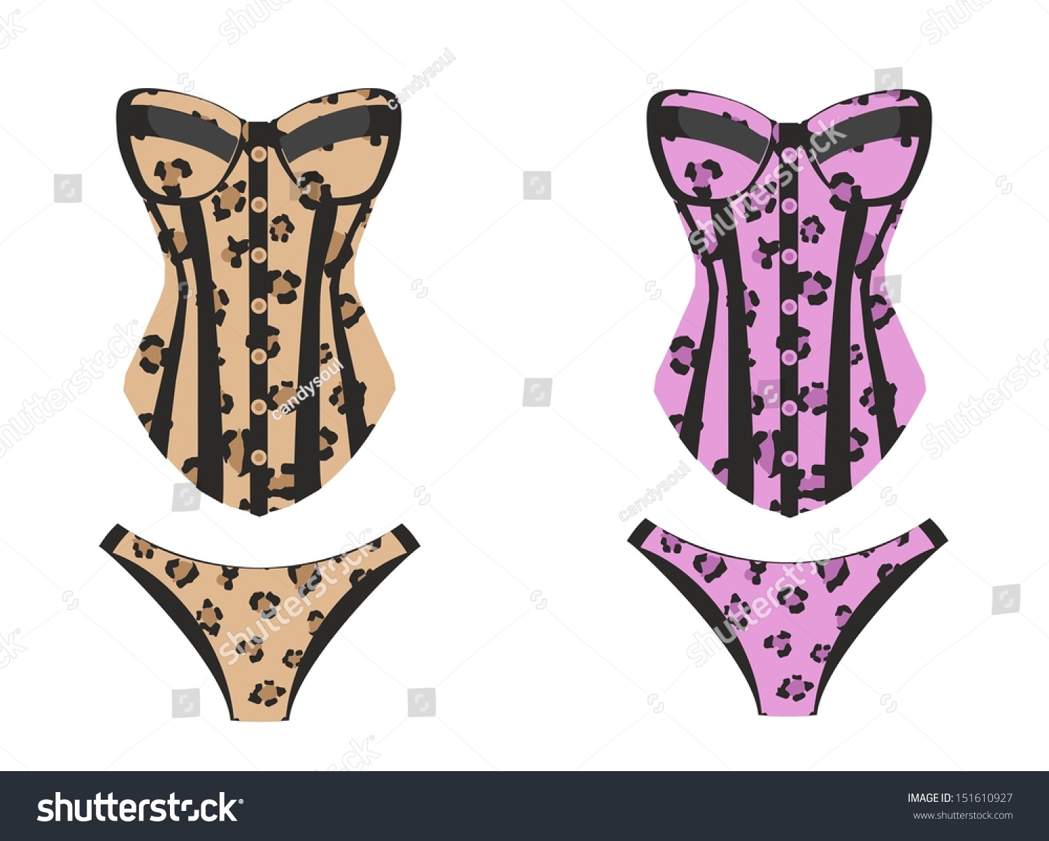 Sexy Lingerie Stock Vector Royalty Free 151610927