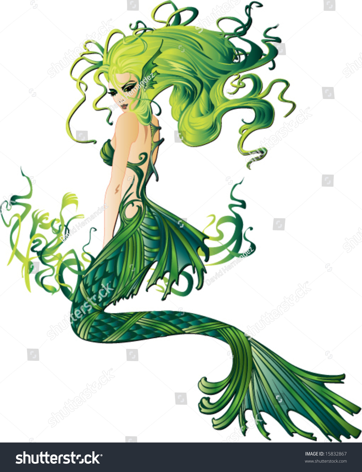 Sexy Mermaid Sitting Among Seaweed Vector Illustration Background ...