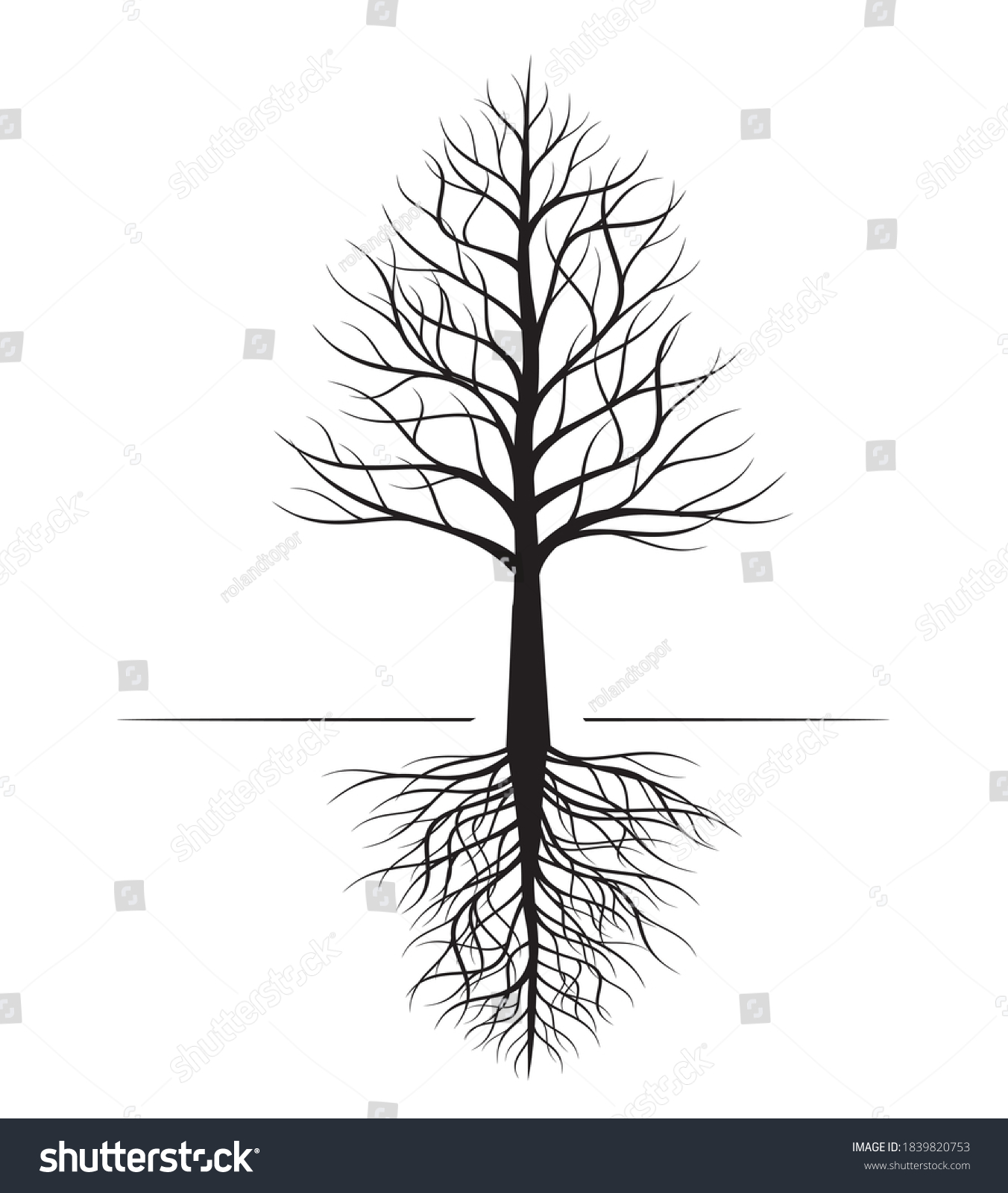 Vektor Stok Shape Naked Tree Roots Vector Outline Tanpa Royalti Shutterstock