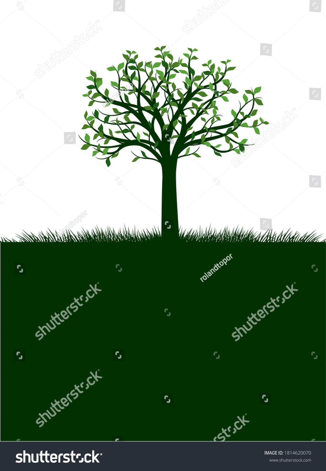 Shape Naked Tree Vector Outline Illustration Stock Vector Royalty Free Shutterstock