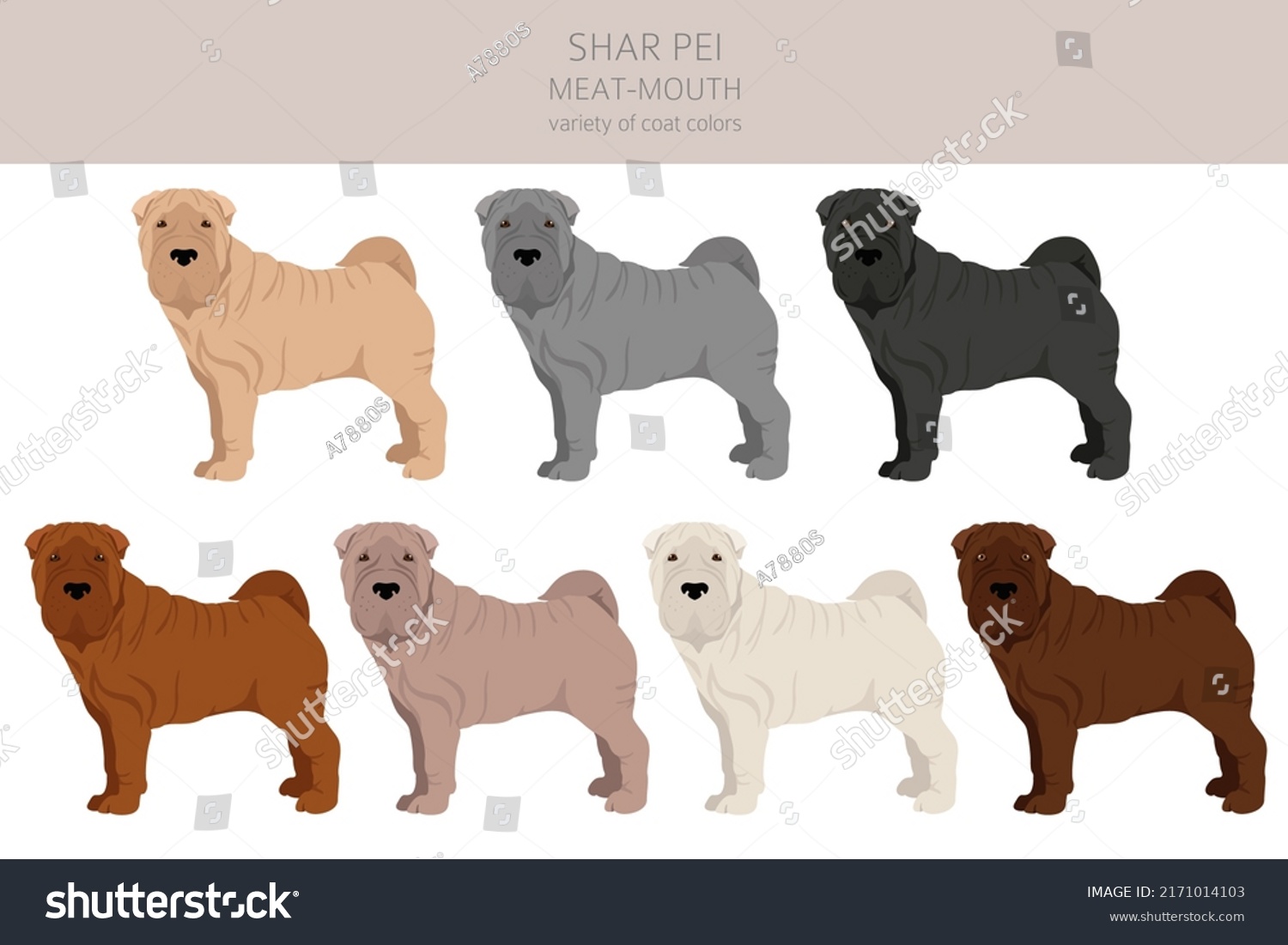 Shar Pei Modern Meat Mouth Clipart Stock Vector (Royalty Free ...