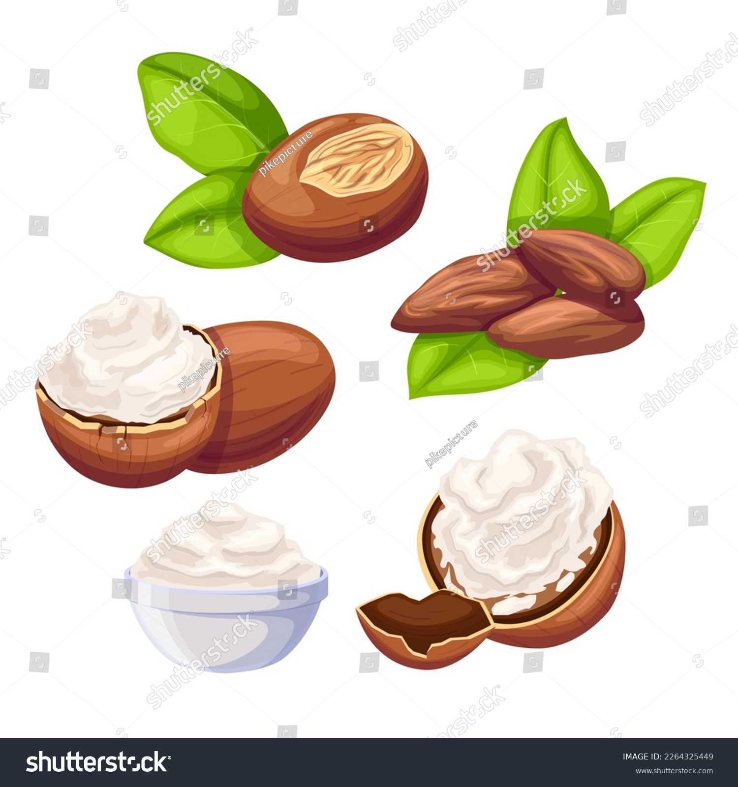 SVG of shea beauty butter set cartoon. natural cosmetic, organic ingredient, care product, white sheabutter, skin skincare, wellness nut, fresh treatment shea beauty butter vector illustration svg