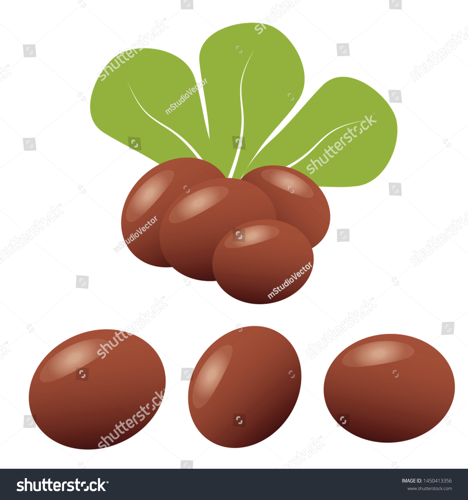 SVG of Shea butter. Brown shea nut and organic nuts shea svg