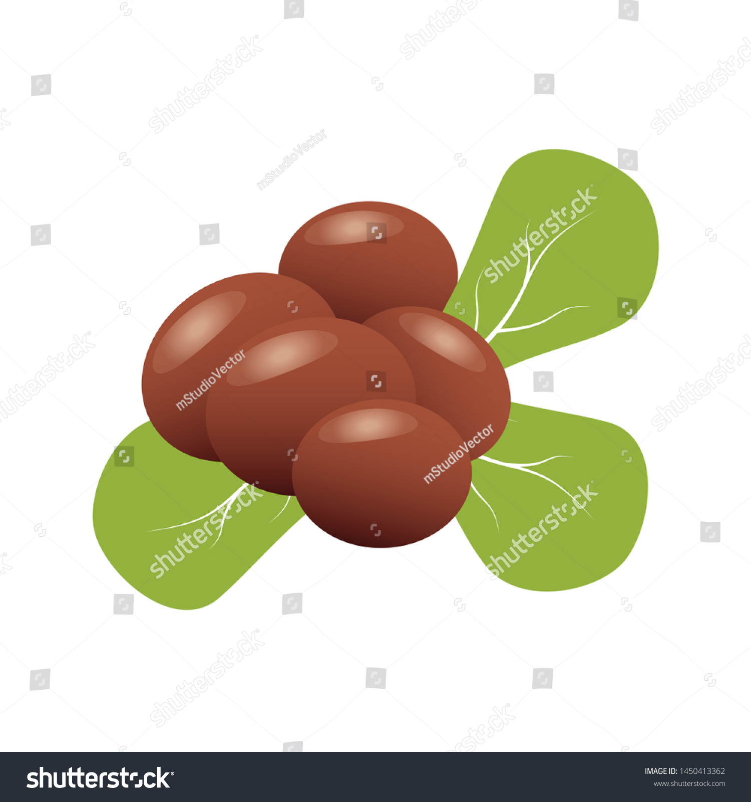 SVG of Shea butter. Shea nuts with green leaves svg