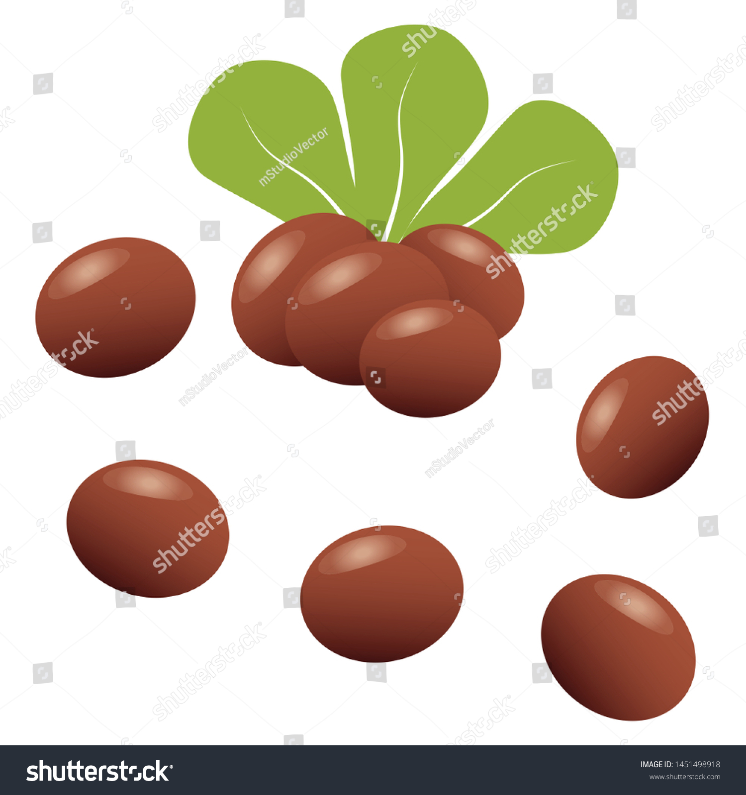 SVG of Shea butter. Shea nuts with green leaves svg