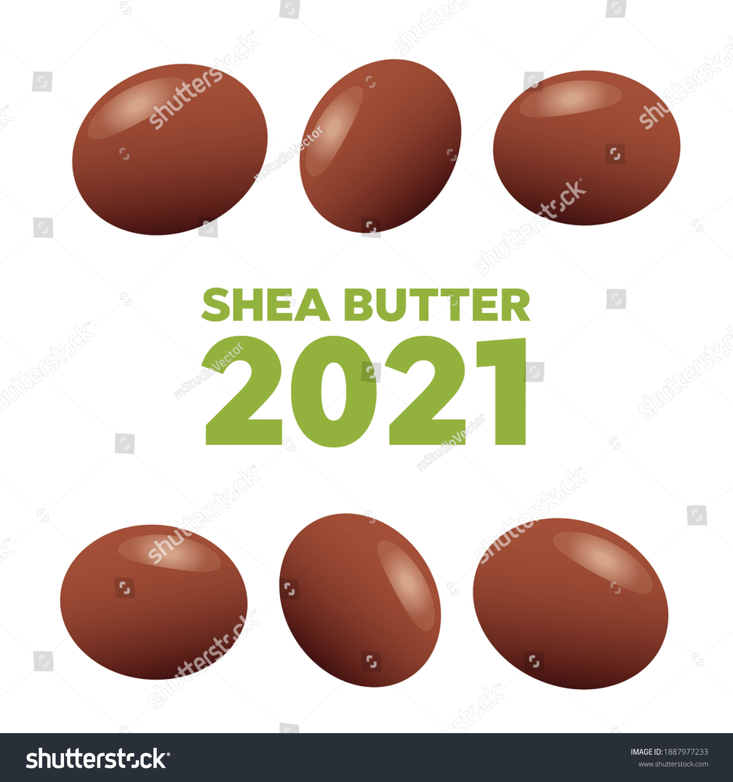 SVG of Shea butter. Shea nuts with green leaves  svg