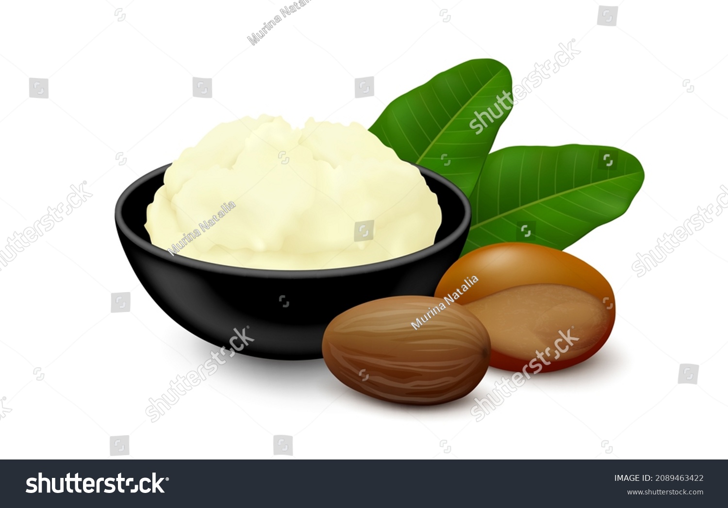 SVG of Shea (Vitellaria paradoxa) butter in a black ceramic bowl, two nuts (shelled, unshelled) and leaves isolated on white background. Side view. Realistic vector illustration. svg