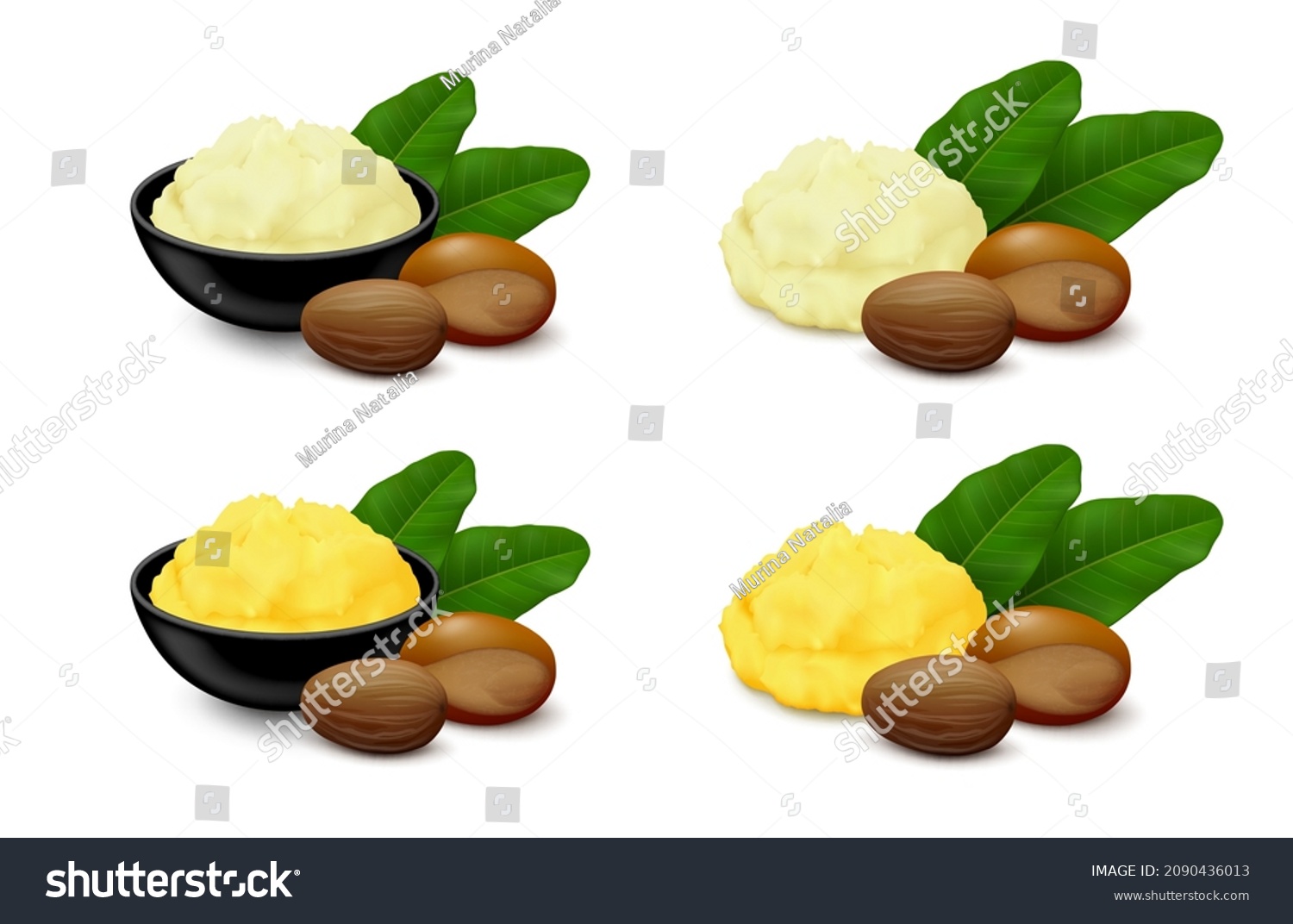 SVG of Shea (Vitellaria paradoxa) butter in various colors (ivory, yellow) with nuts (shelled, unshelled) and leaves isolated on white background. Side view. Realistic vector illustration. svg