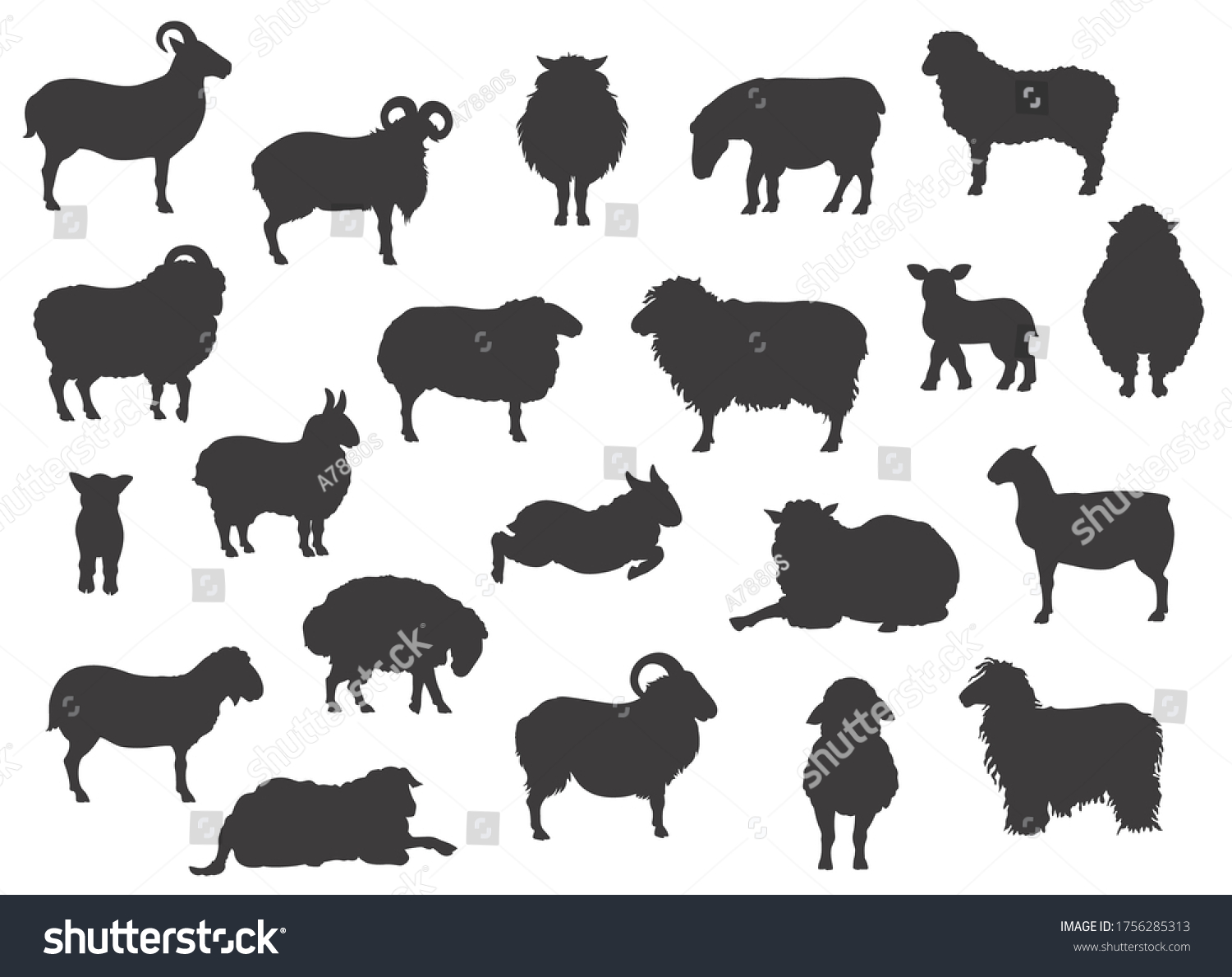 SVG of Sheep breeds black silhouettes collection. Farm animals set. Flat design. Vector illustration svg