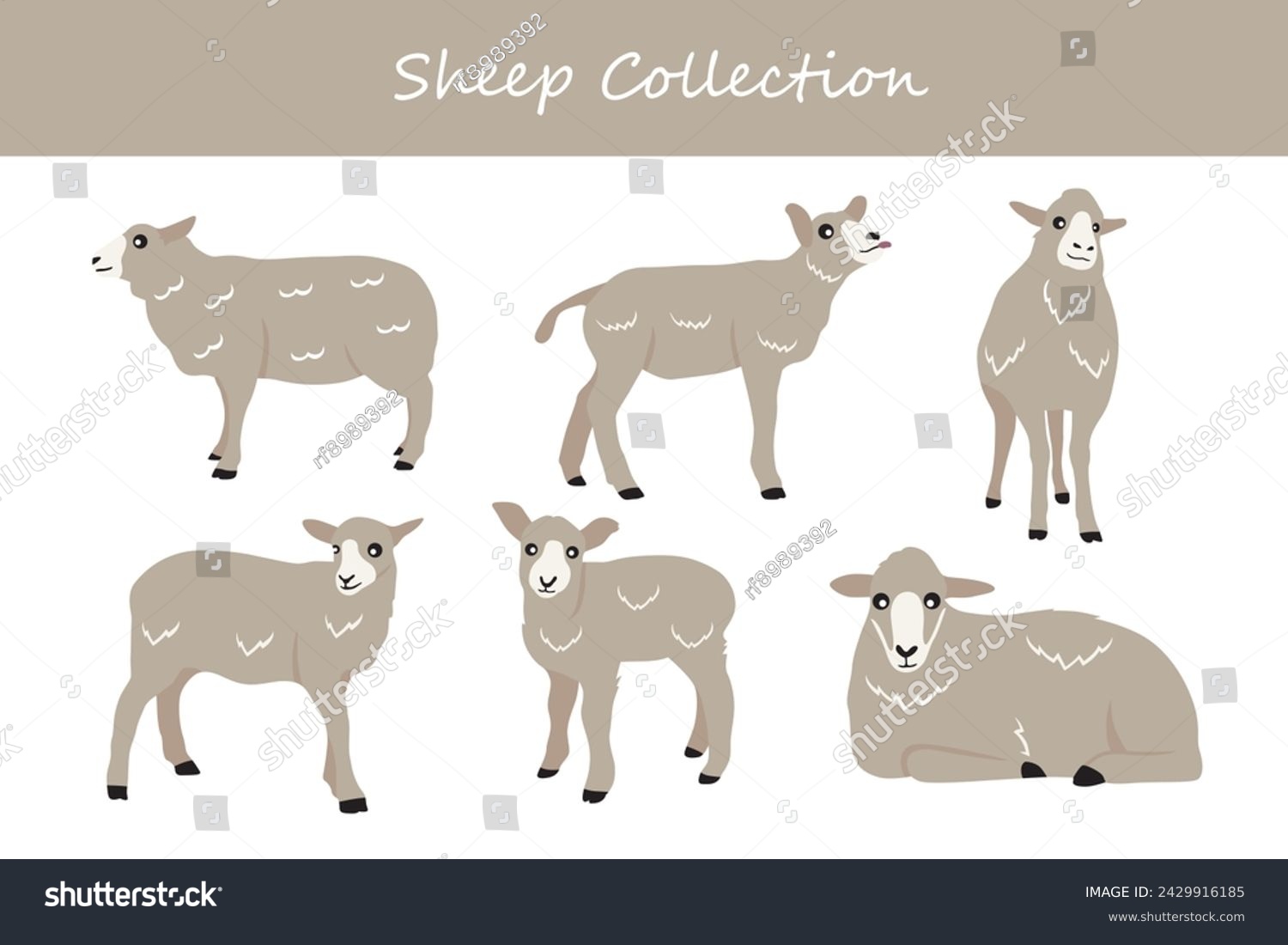 SVG of Sheep collection. Cute cartoon sheep. Vector illustration isolated on white background. svg