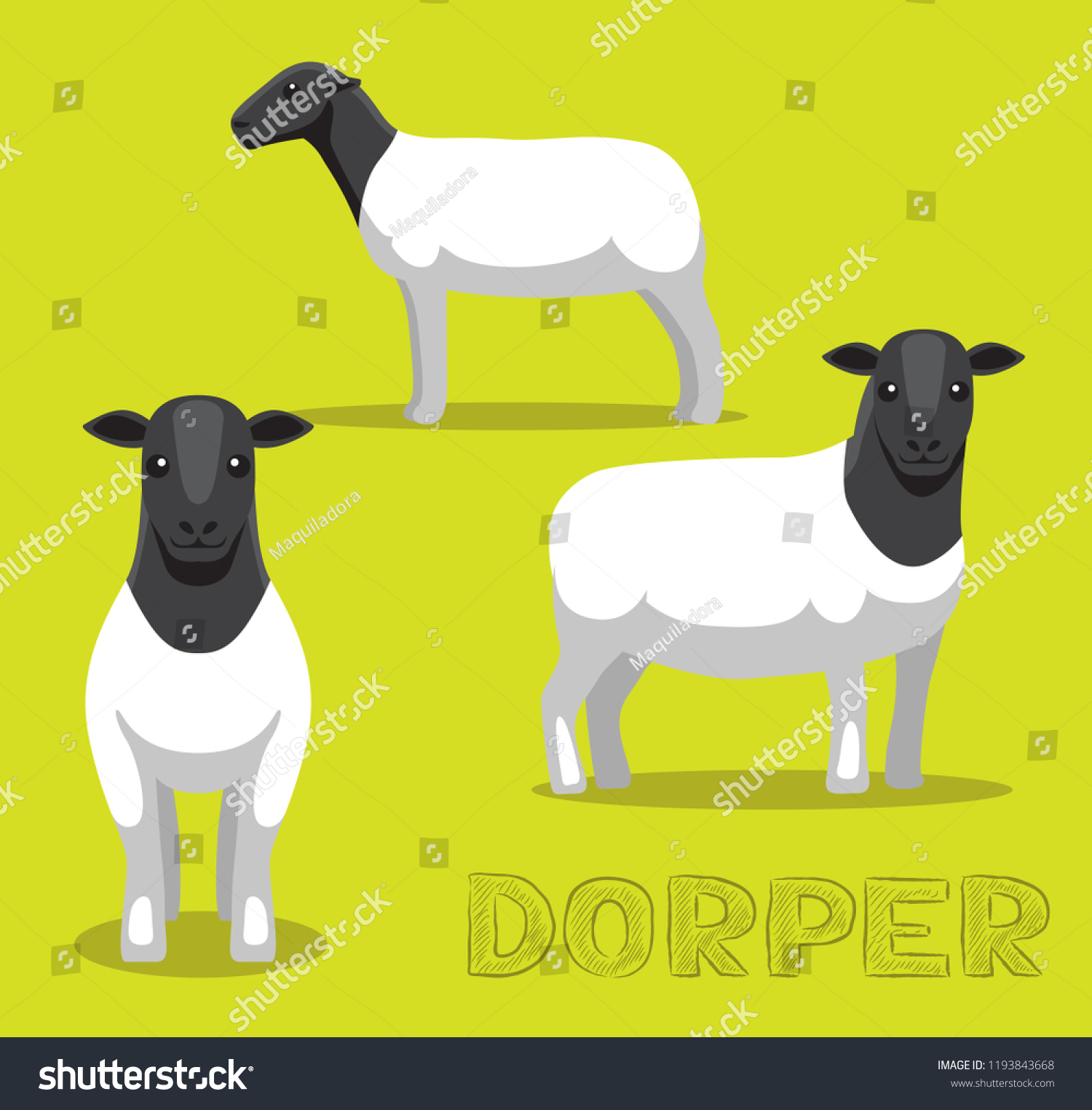 SVG of Sheep Dorper Cartoon Vector Illustration svg