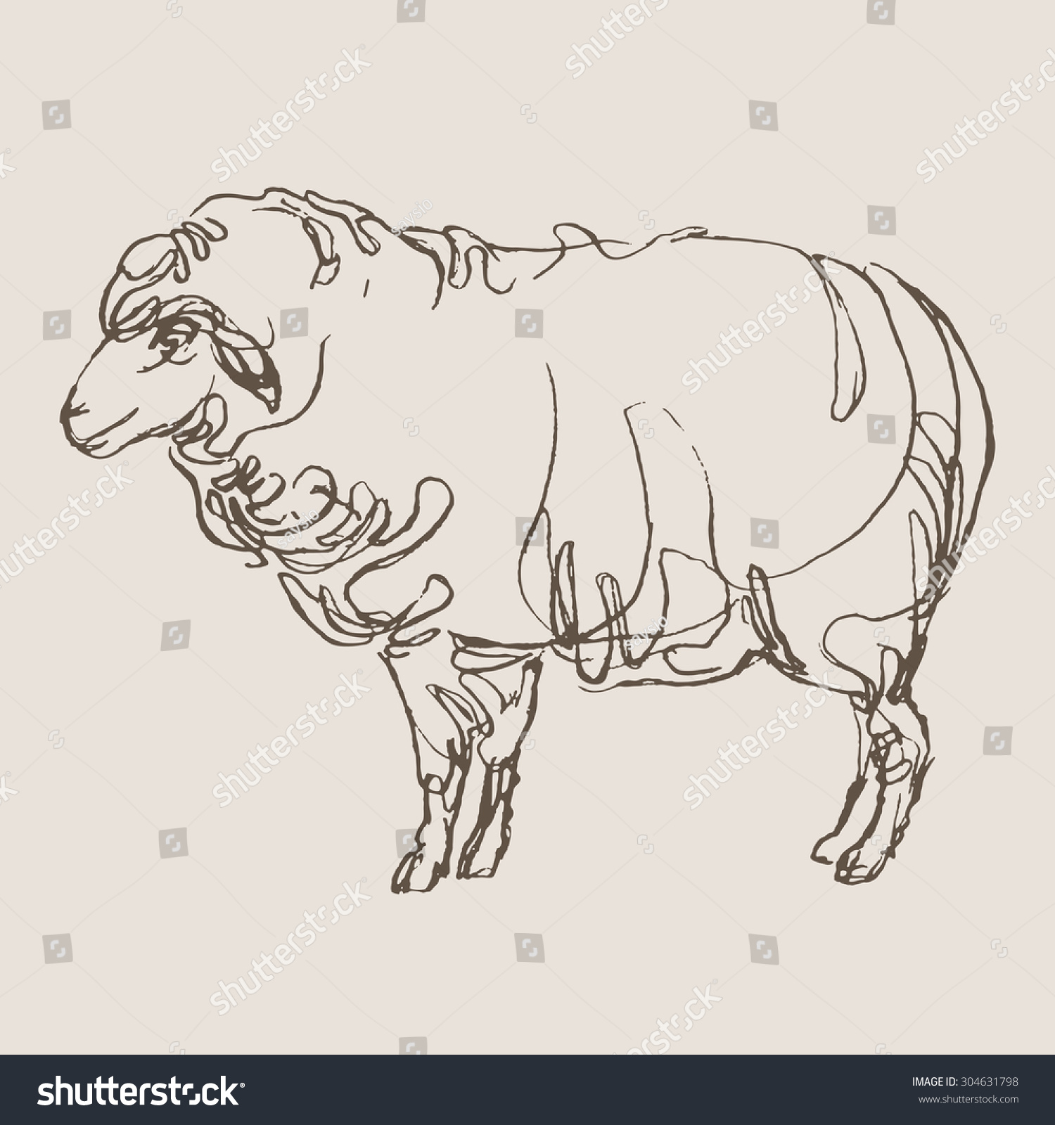 Sheep Hand Draw Sketch Vector Stock Vector 304631798 - Shutterstock
