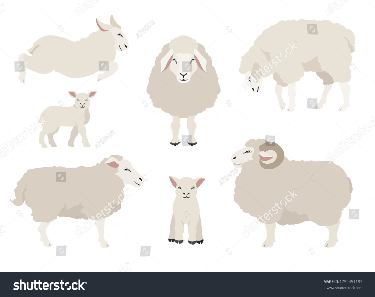 Sheep Poses Collection Farm Animals Set Stock Vector (Royalty Free ...