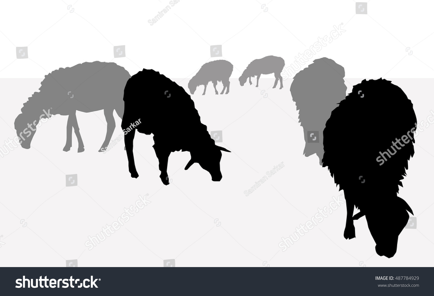 Sheep Silhouette Set Vector Stock Vector (Royalty Free) 487784929 ...