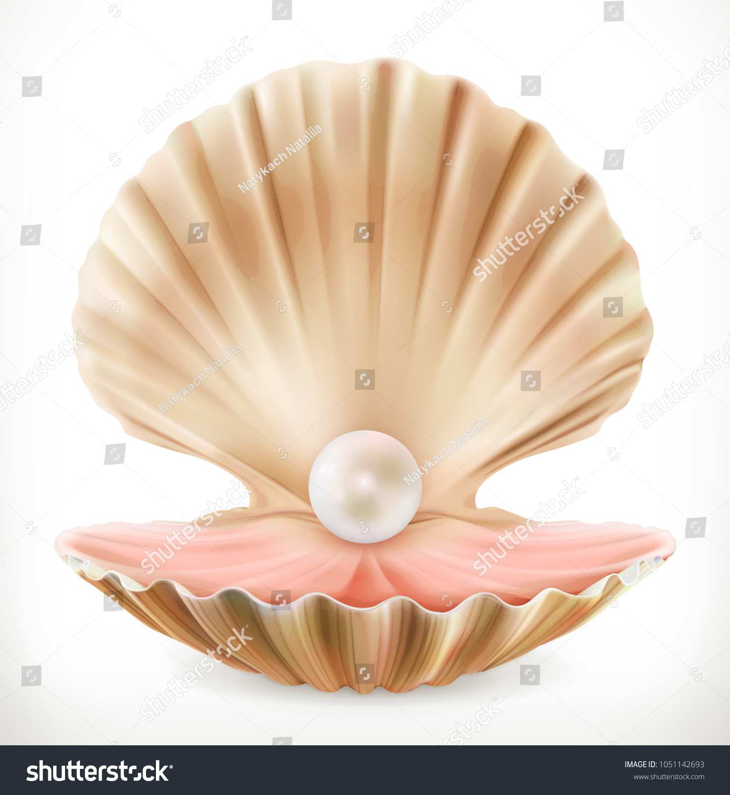 Open Clam Images Stock Photos And Vectors Shutterstock