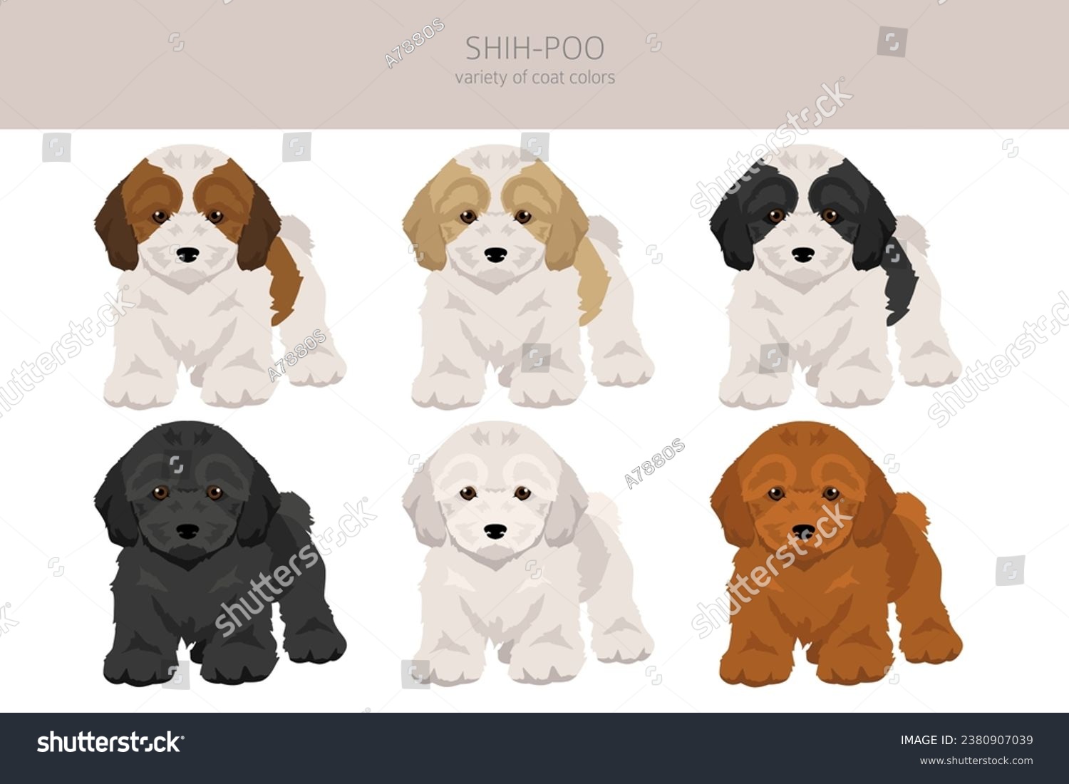 SVG of Shih-Poo clipart. Shih-Tzu  Poodle mix. Different coat colors set.  Vector illustration svg