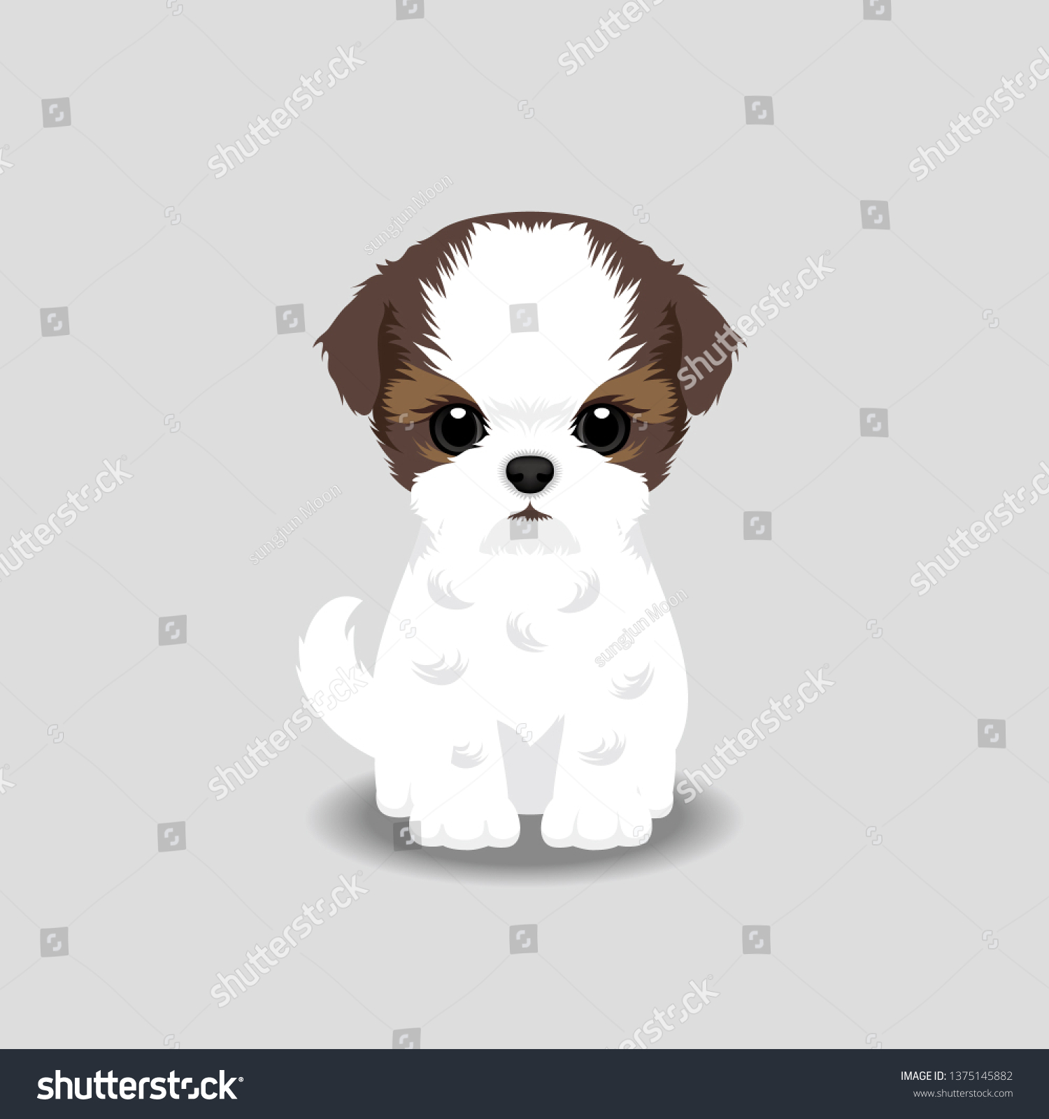 SVG of Shih Tzu Puppy Vector Illustration. Dog isolated svg