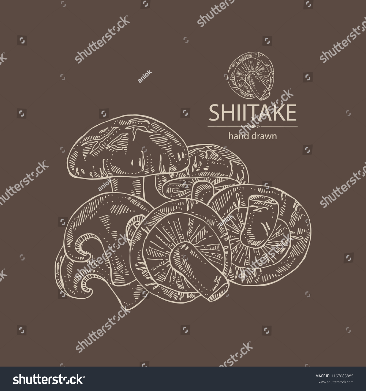 Shiitake Mushroom Bit Shiitake Mushroom Vector Stock Vector Royalty Free 1167085885 3169