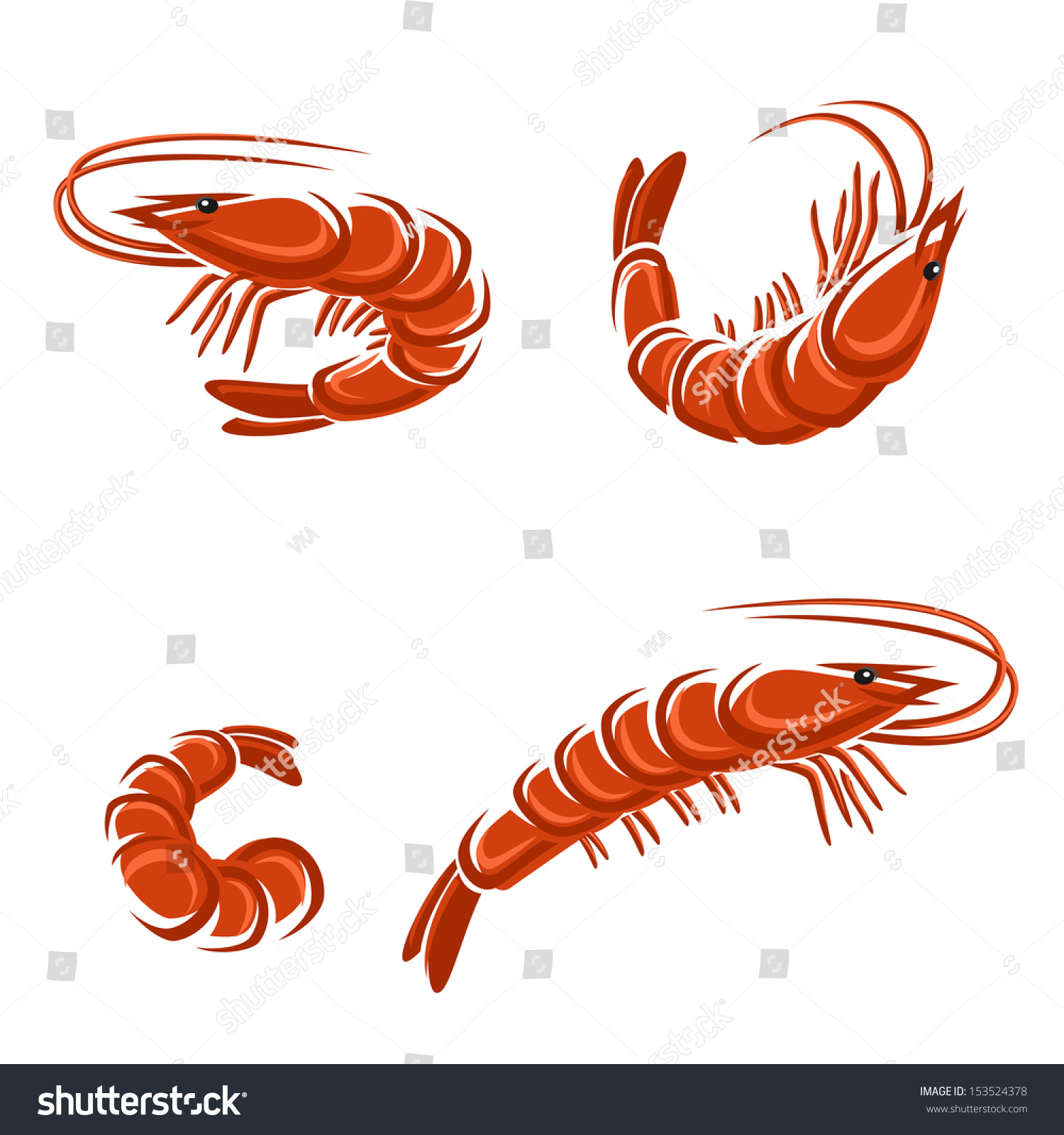 Shrimp Set Vector Stock Vector 153524378 Shutterstock