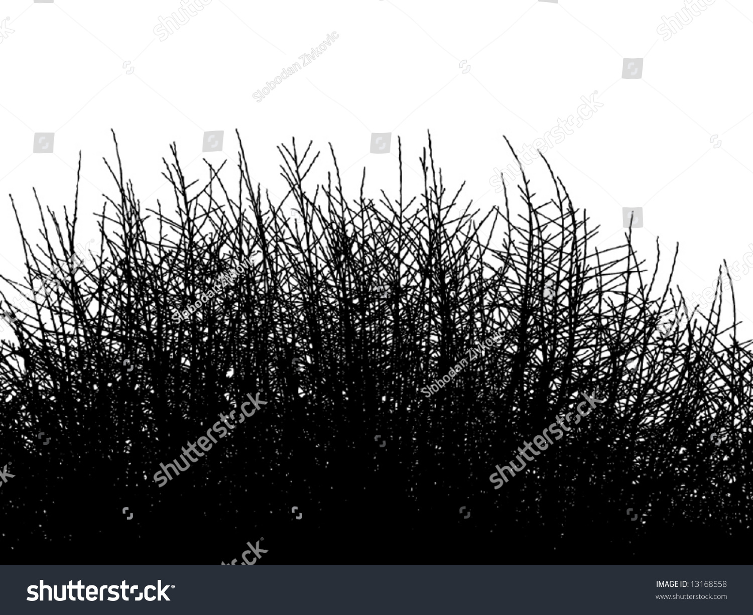 Shrub Silhouette Vector Illustration Stock Vector 13168558 - Shutterstock