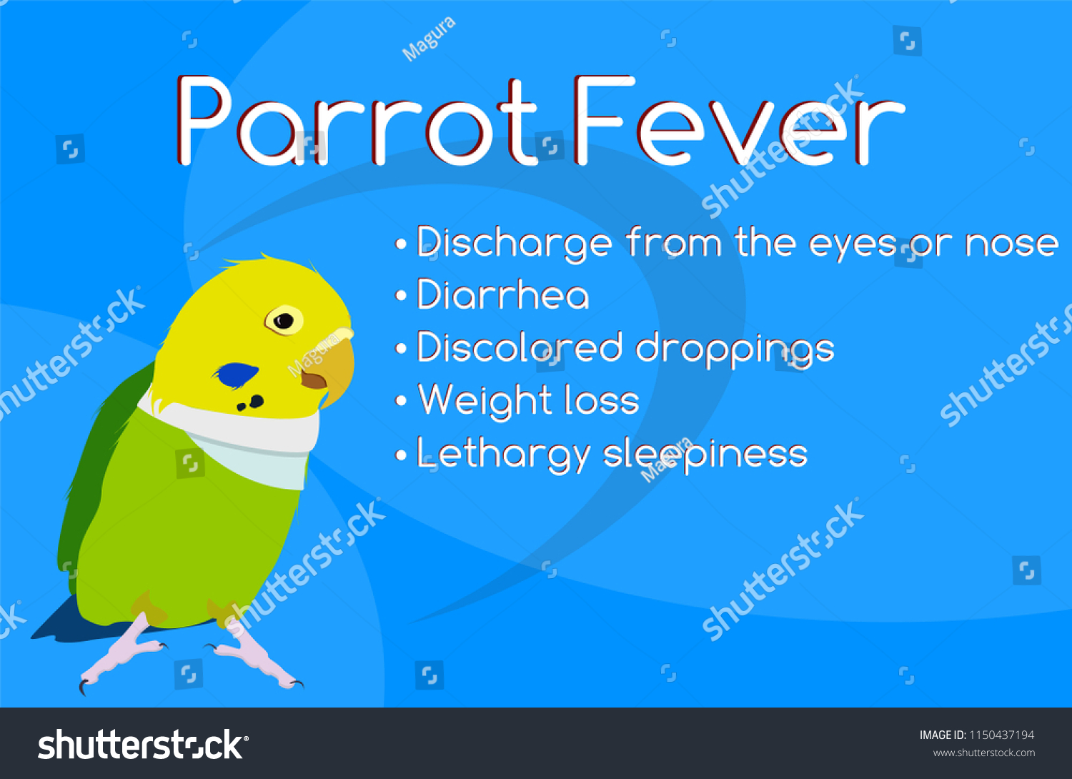 sick parrot treatment