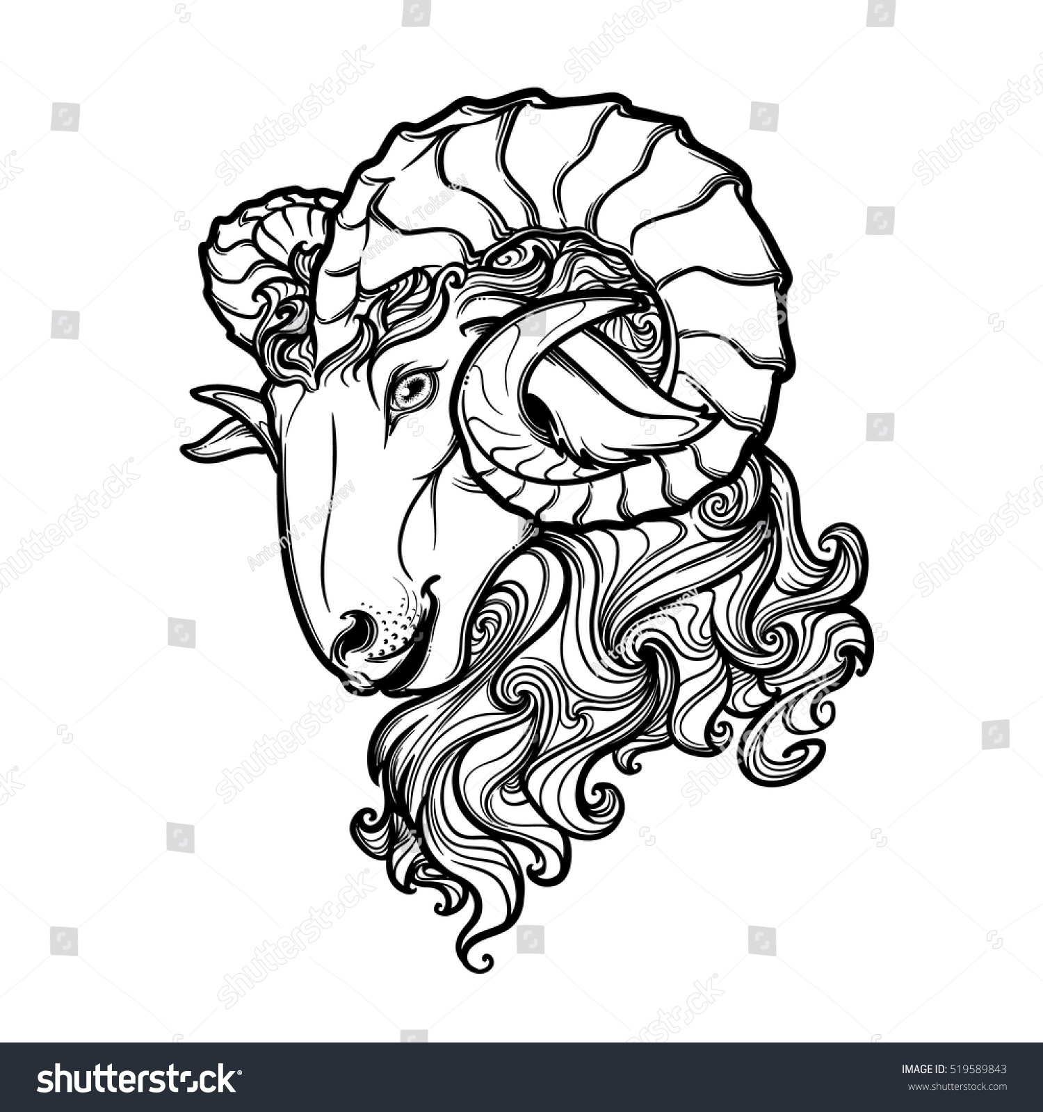 Side View Ram Head Big Twisted Stock Vector (Royalty Free) 519589843 ...