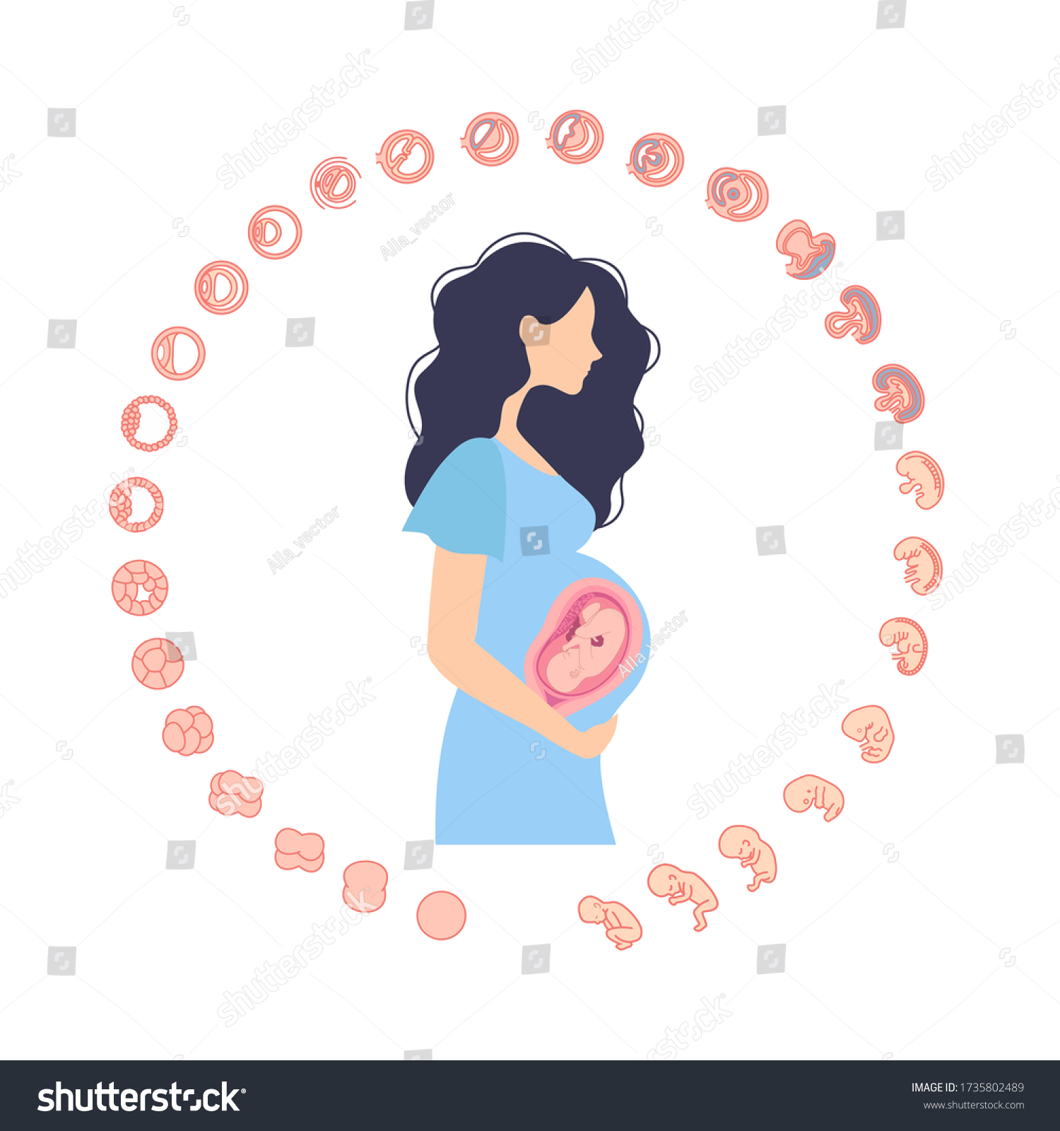 856 Pregnant bump Stock Illustrations, Images & Vectors | Shutterstock