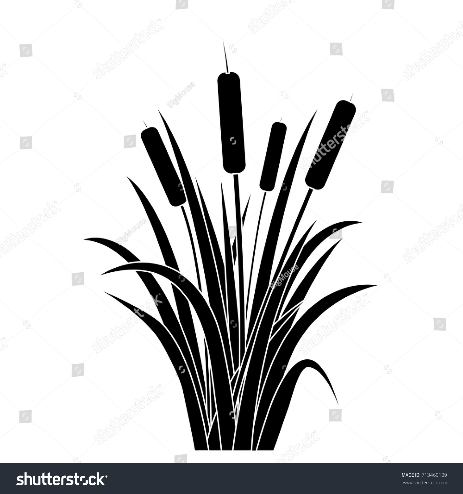 Silhouette Black Water Reed Plant Cattails Stock Vector (Royalty Free ...
