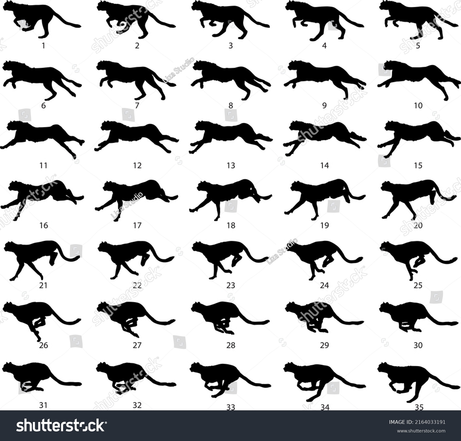 Silhouette Cheetah Running Steps Animation Vector Stock Vector (Royalty ...