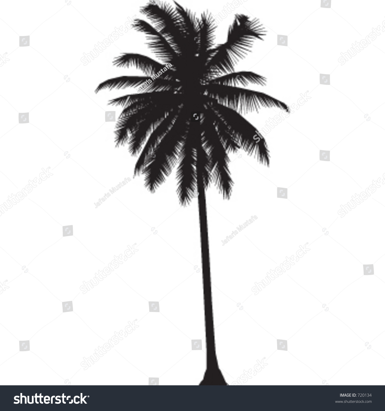 Silhouette Coconut Tree Stock Vector 720134 - Shutterstock