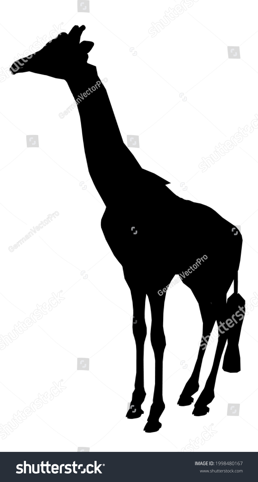 Silhouette Giraffe Isolated On White Background Stock Vector (Royalty ...