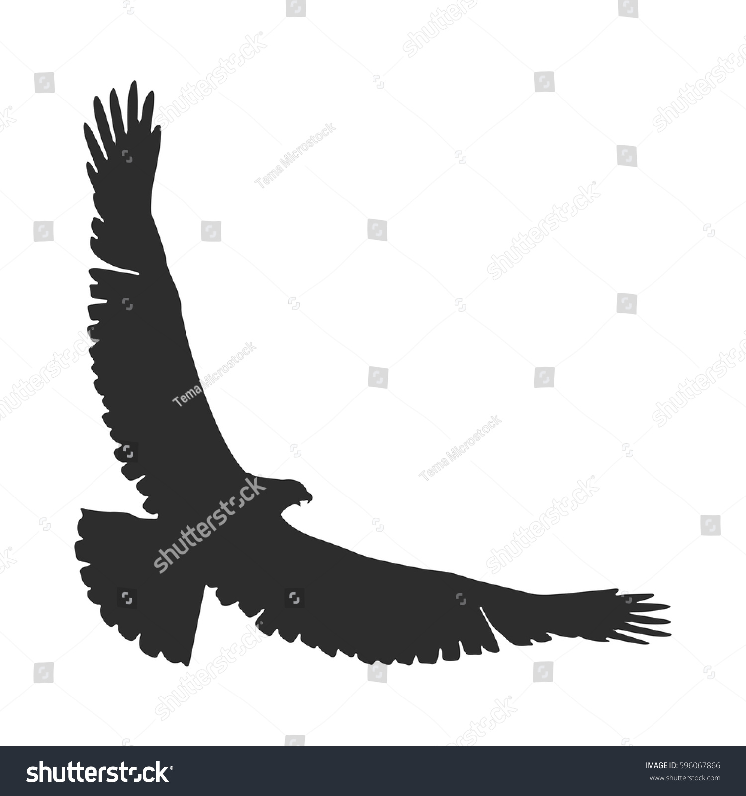 Silhouette Soaring Bird Separately Isolated Image Stock Vector ...