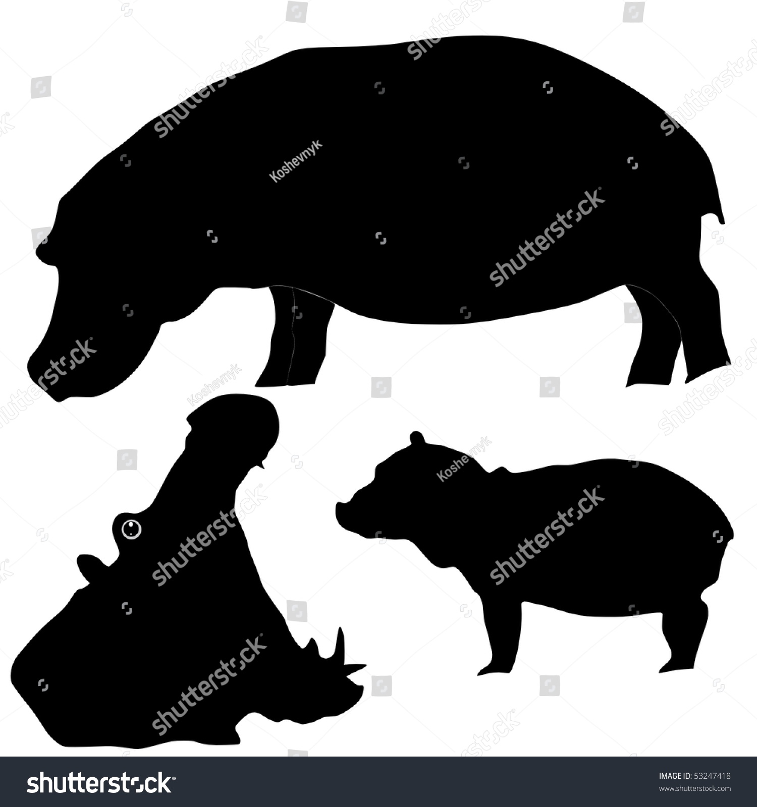 Silhouette Of Hippopotamus Stock Vector Illustration 53247418 ...