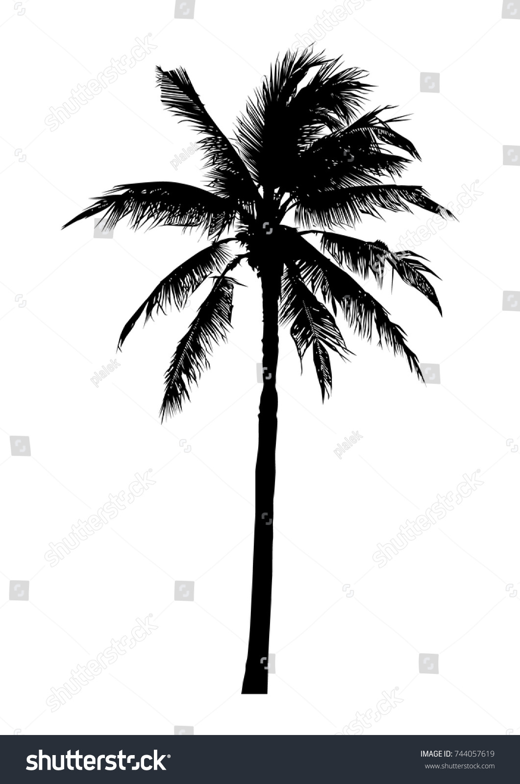 19,011 Palm silhouette single Images, Stock Photos & Vectors | Shutterstock