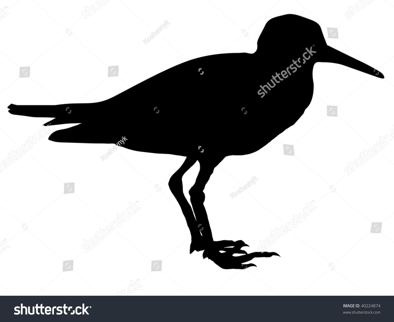 Silhouette Sandpiper Stock Vector 40224874 - Shutterstock