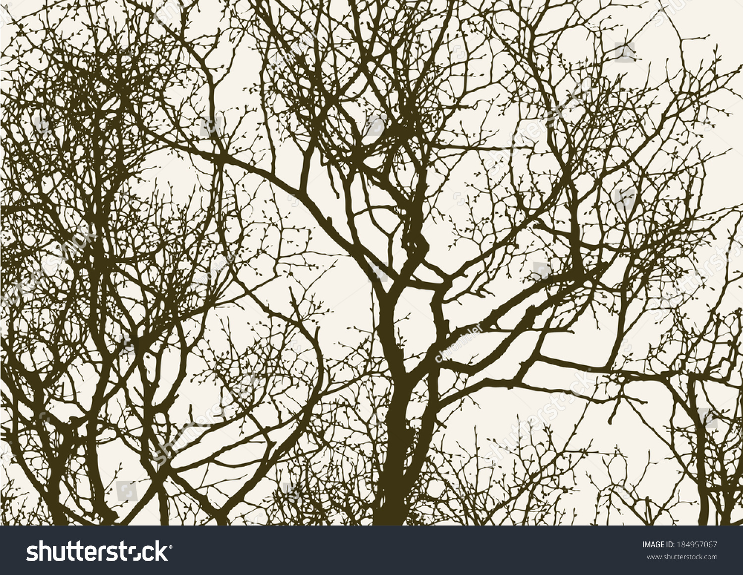 Silhouette Of Spring Tree Stock Vector Illustration 184957067 ...