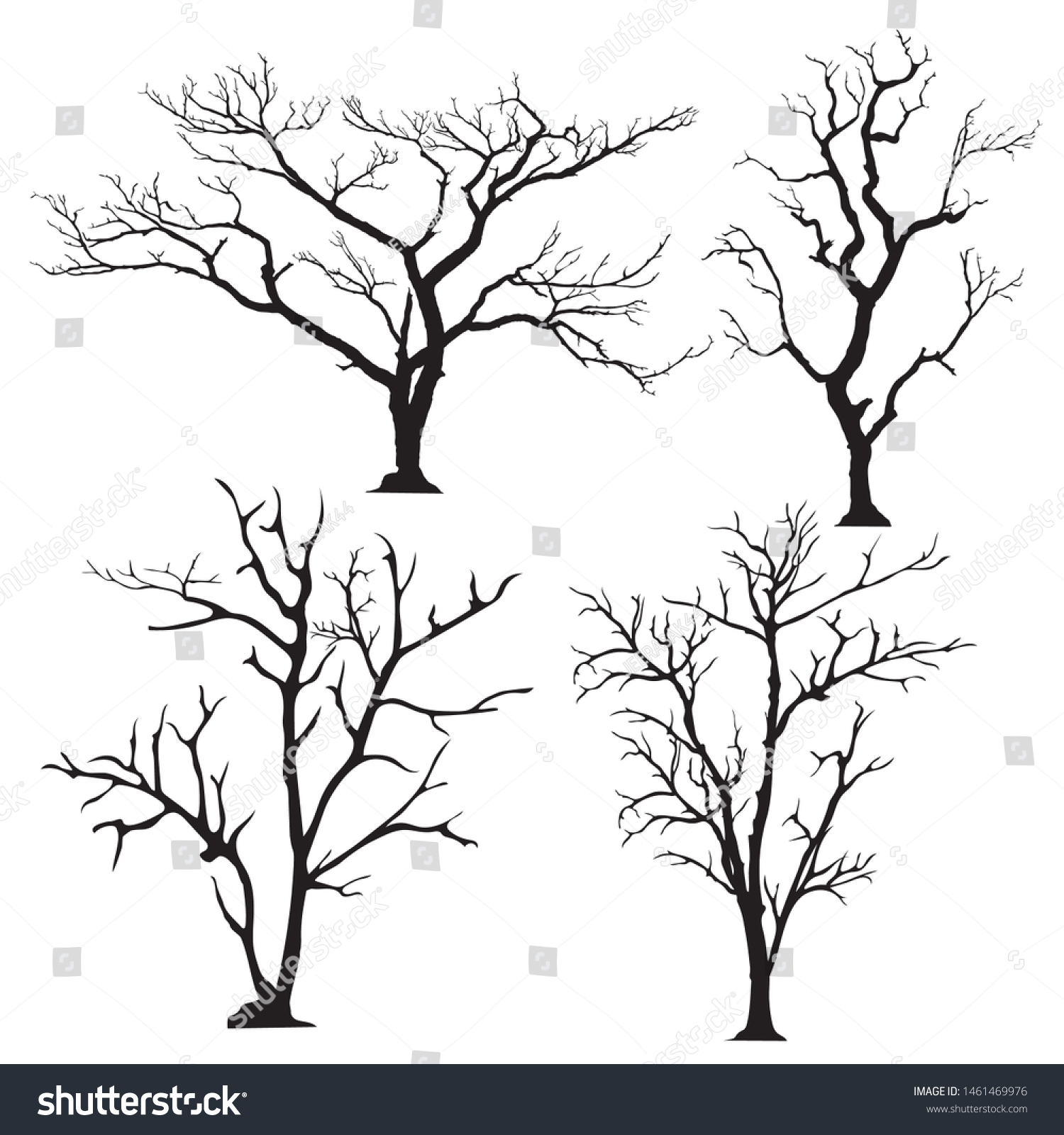 Silhouette Tree Without Leaves Stock Vector (Royalty Free) 1461469976