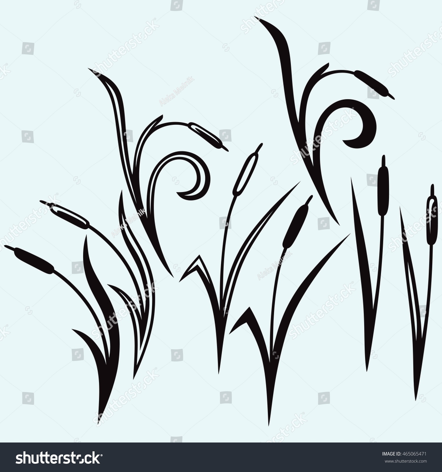 Silhouette Reed Isolated On White Background Stock Vector Illustration ...