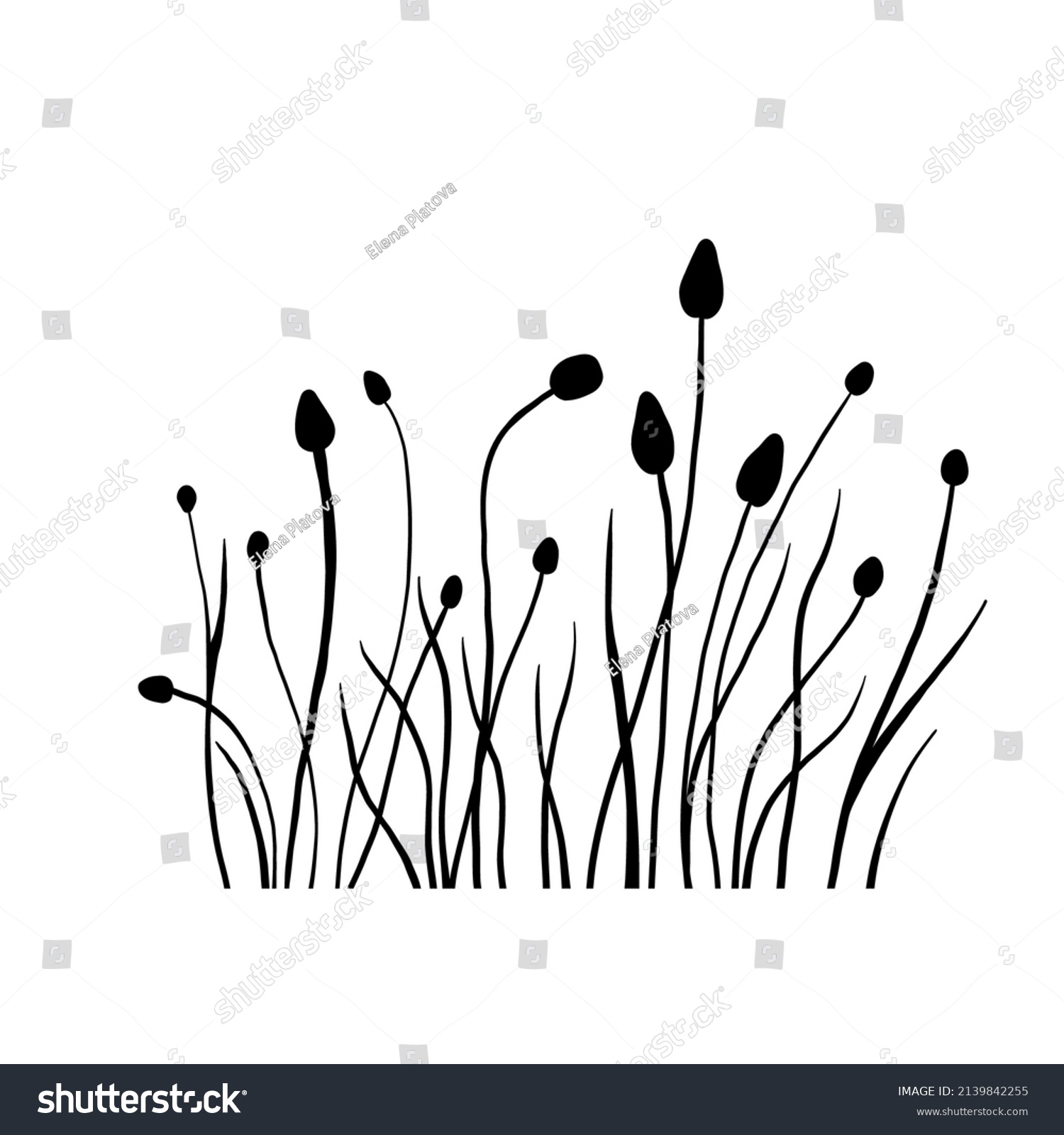 Silhouette Wildflowers Grass Field Vector Black Stock Vector (Royalty ...