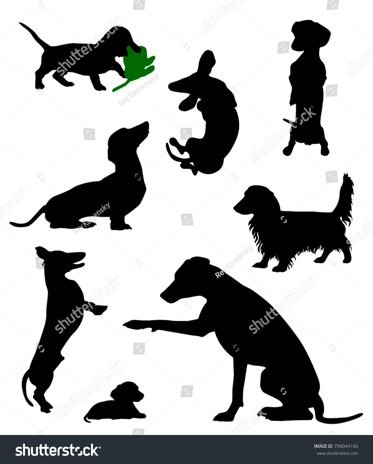 SVG of Silhouettes of dachshunds. Vector illustration. svg
