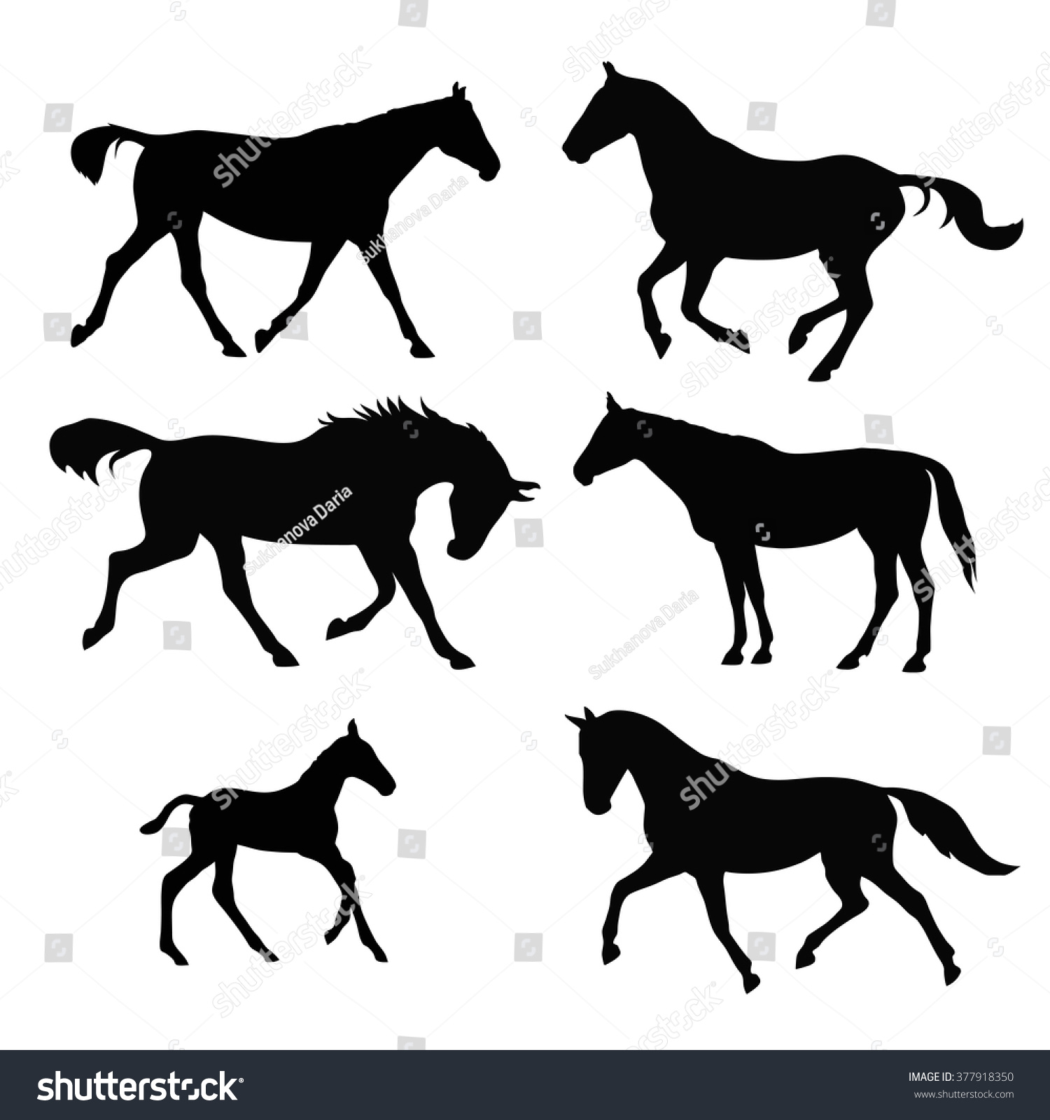 3,931 Black foal Stock Illustrations, Images & Vectors | Shutterstock