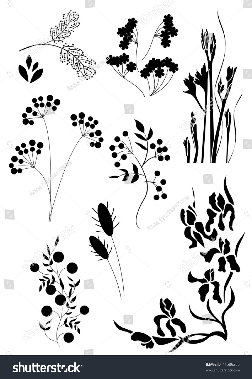 Silhouettes Of Herbs And Flowers Stock Vector Illustration 41589265 ...