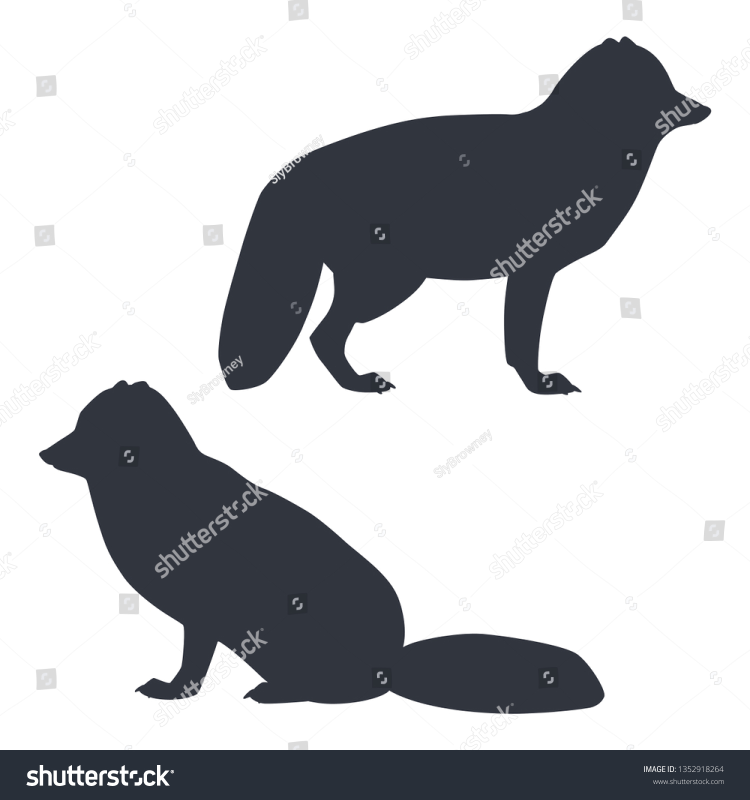 Silhouettes Standing Sitting Arctic Foxes Isolated Stock Vector