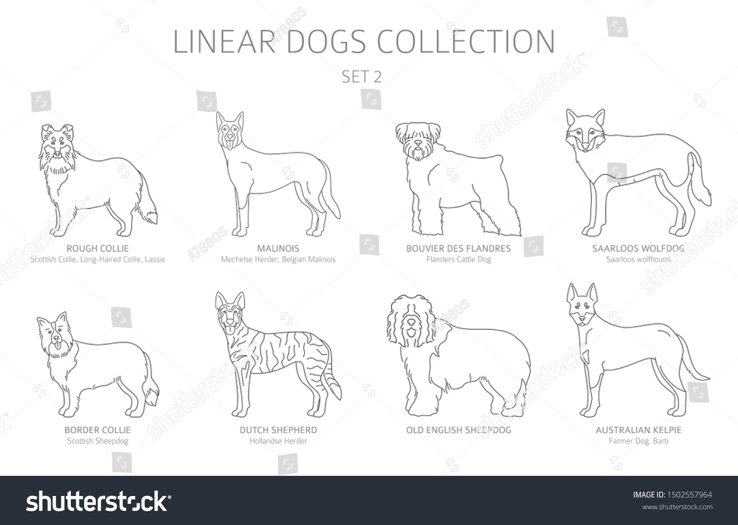 SVG of Simple line dogs collection isolated on white. Dog breeds. Flat style clipart set. Vector illustration svg