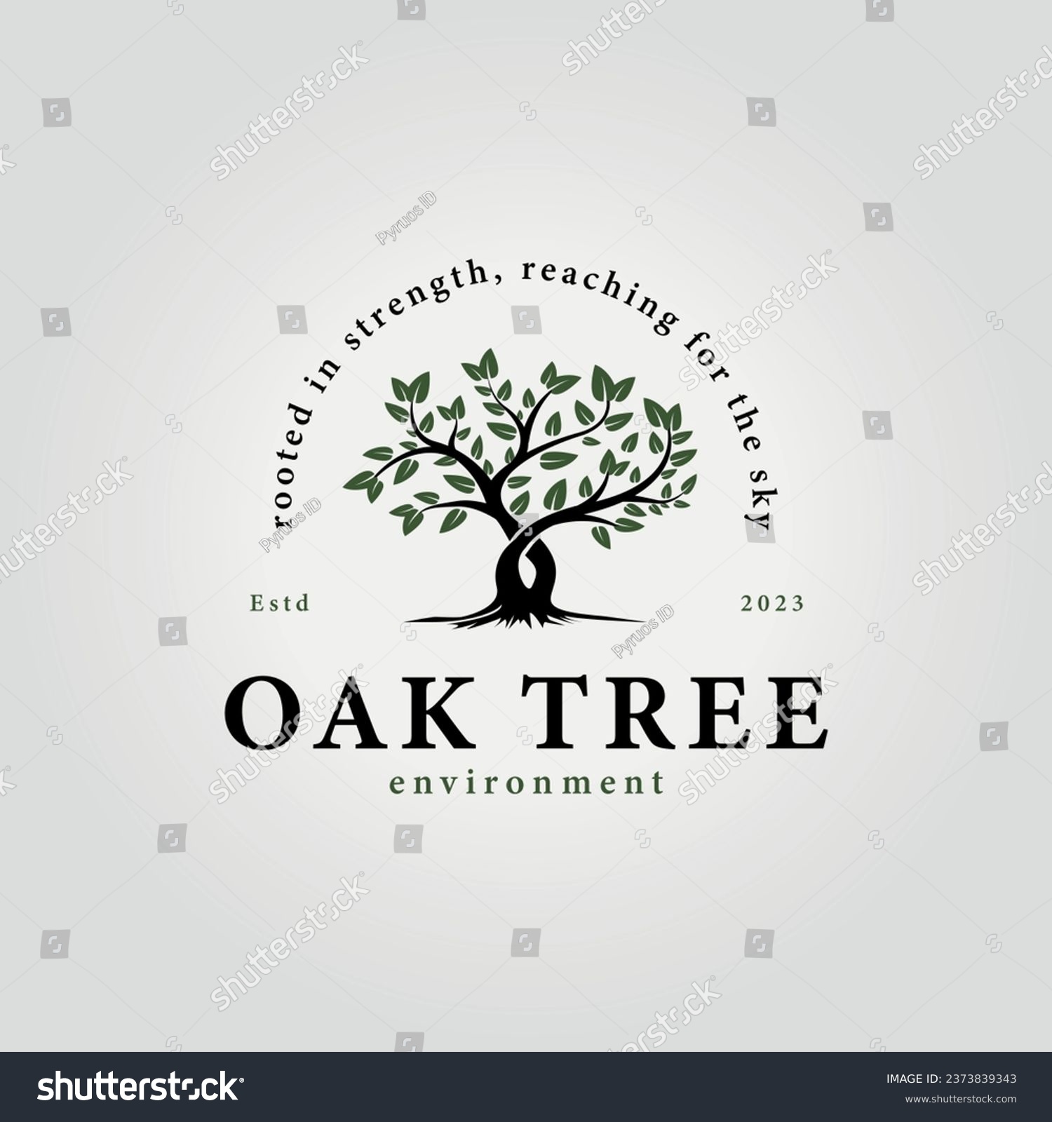 SVG of simple oak tree vector logo, illustration design of acacia and banyan tree icons in summer svg